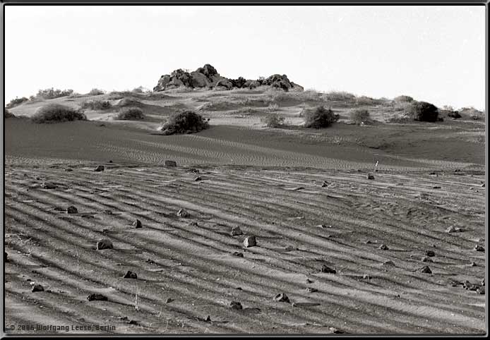 Wuestenlandschaft bei Tachiche